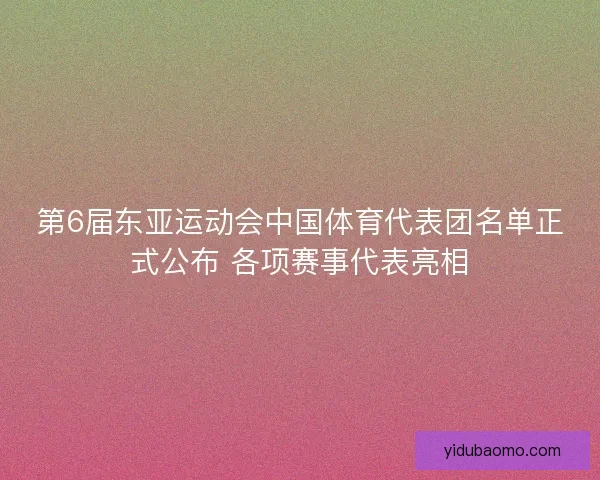 第6届东亚运动会中国体育代表团名单正式公布 各项赛事代表亮相