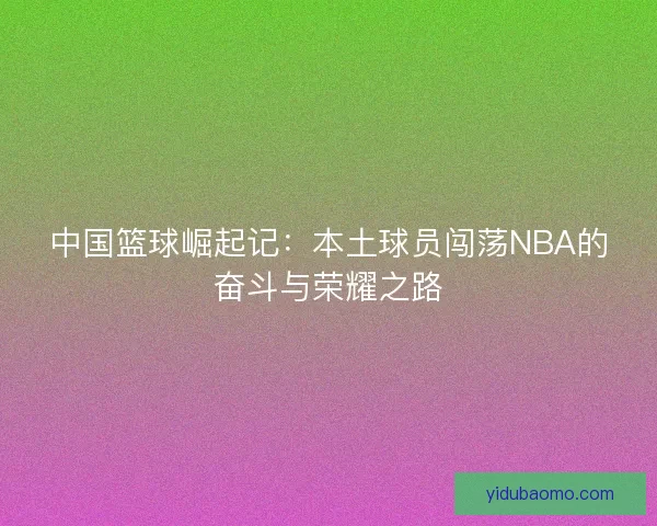 中国篮球崛起记：本土球员闯荡NBA的奋斗与荣耀之路